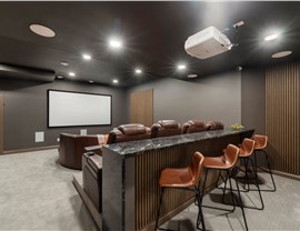 Basement Home Theaters Photo 38