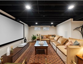 Basement Finishing Photo 80