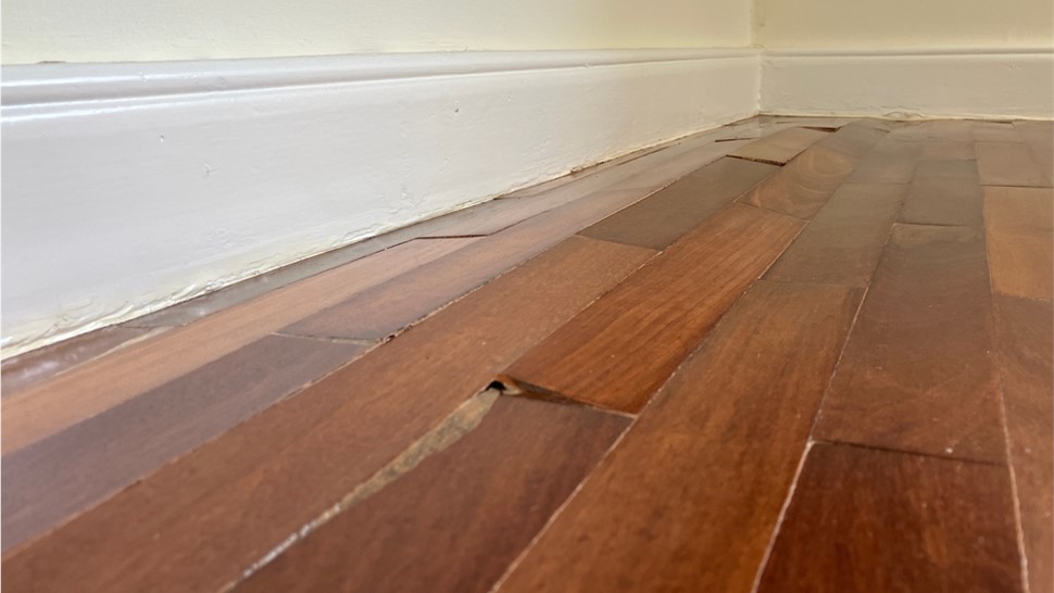 Water Mitigation Photo 1