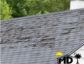 Storm Damage Photo 1