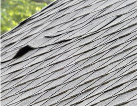 Storm Damage Photo 5