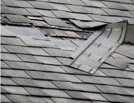 Storm Damage Photo 4