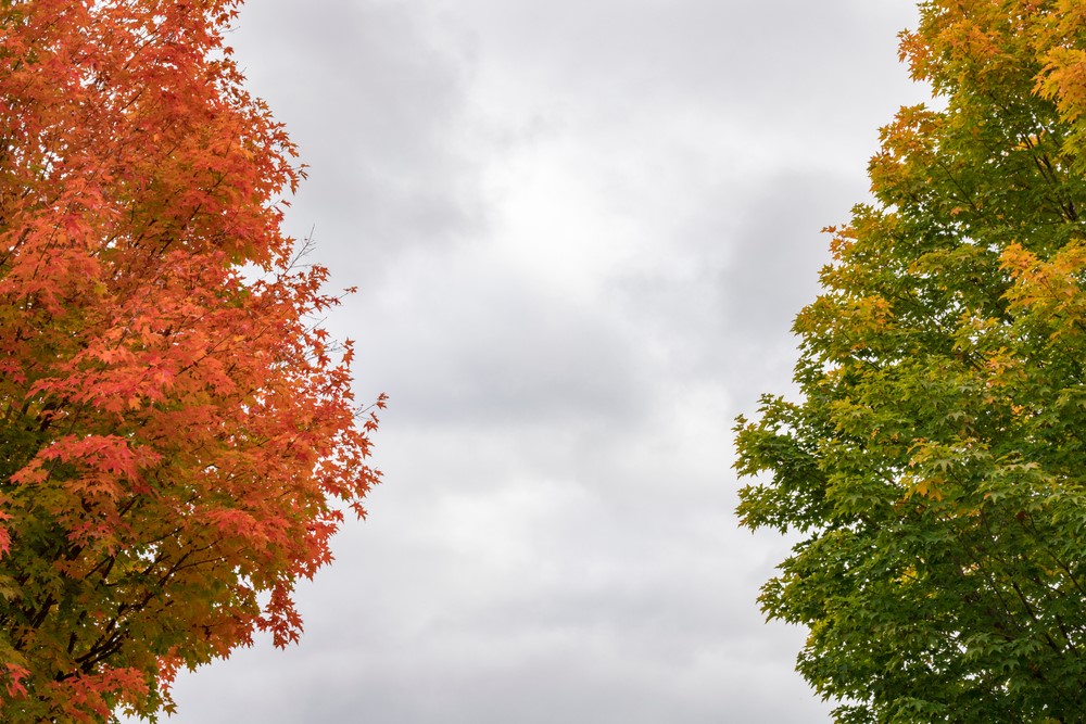 July Vs. Fall: Best Time for Long-Distance Moves in California