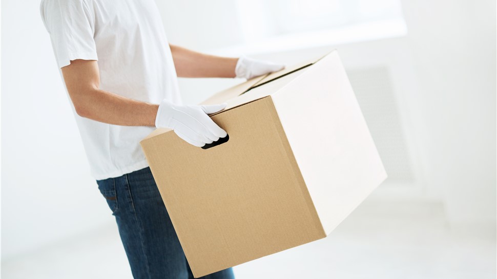 White Glove Delivery Photo 1