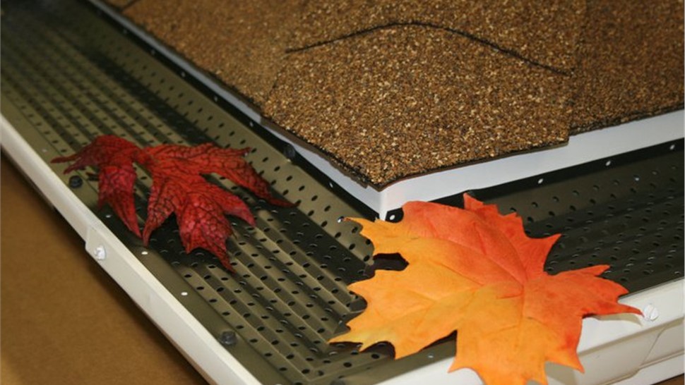Gutters- RX Photo 1