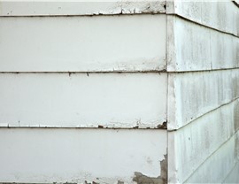 Siding - Siding Repair Photo 4