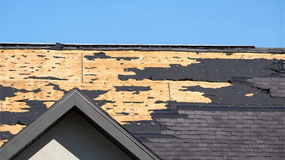 Service Areas - Storm Damage Photo 87