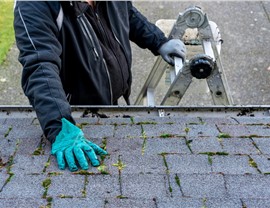 Roofing - Roof Inspection Photo 46