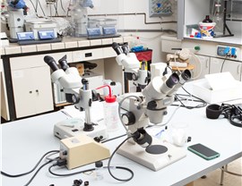 Top Level - Specialized Moving Photo 3