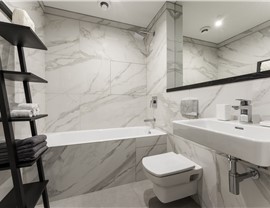 Bathroom Conversions - Bathtub Shower Combo Photo 60