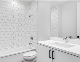 Bathtubs - Bathtub Installation Photo 93