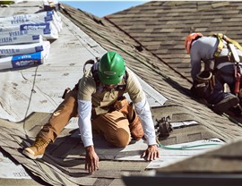 Malarkey Roofing Shingles Photo 4