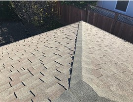 Roofing Photo 3