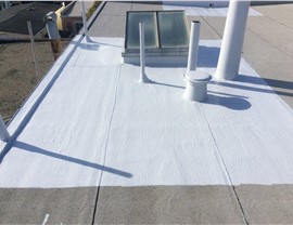 Roof Repair Photo 48