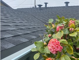 Roofing Photo 2