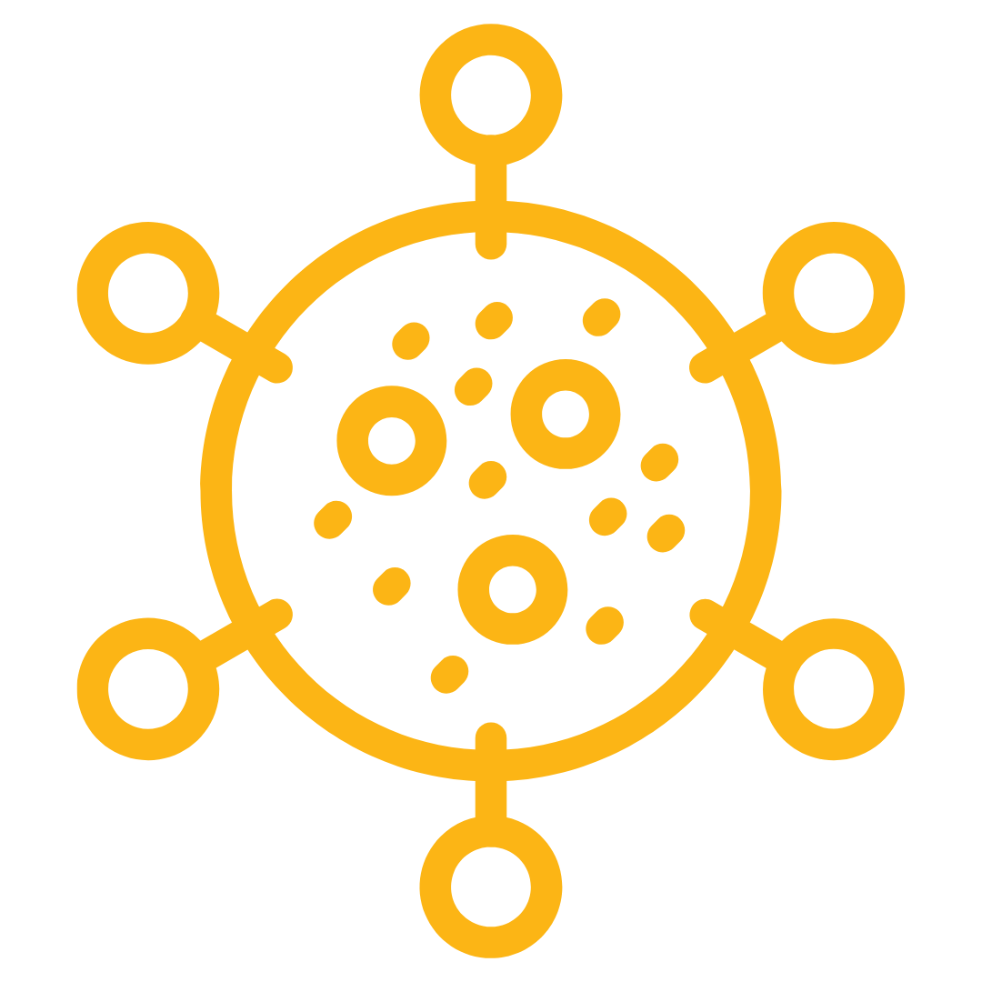 Mold and moss growth across your home’s roof.