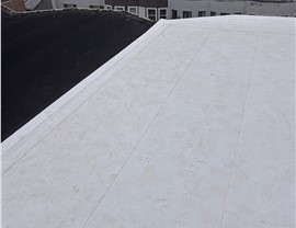 Upgrade to a Flat Roof Built for Lasting Protection and Peace of Mind