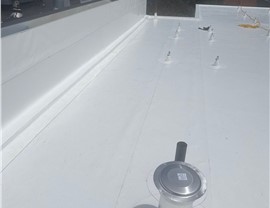 Ready to Upgrade Your Flat Roof, Skylights & Drainage for Lasting Protection?