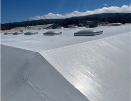 Protect Your Flat Roof Today—and Keep It Performing for Years to Come