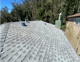 Ready to Transform Your Roof with Premium Protection and Natural Light?