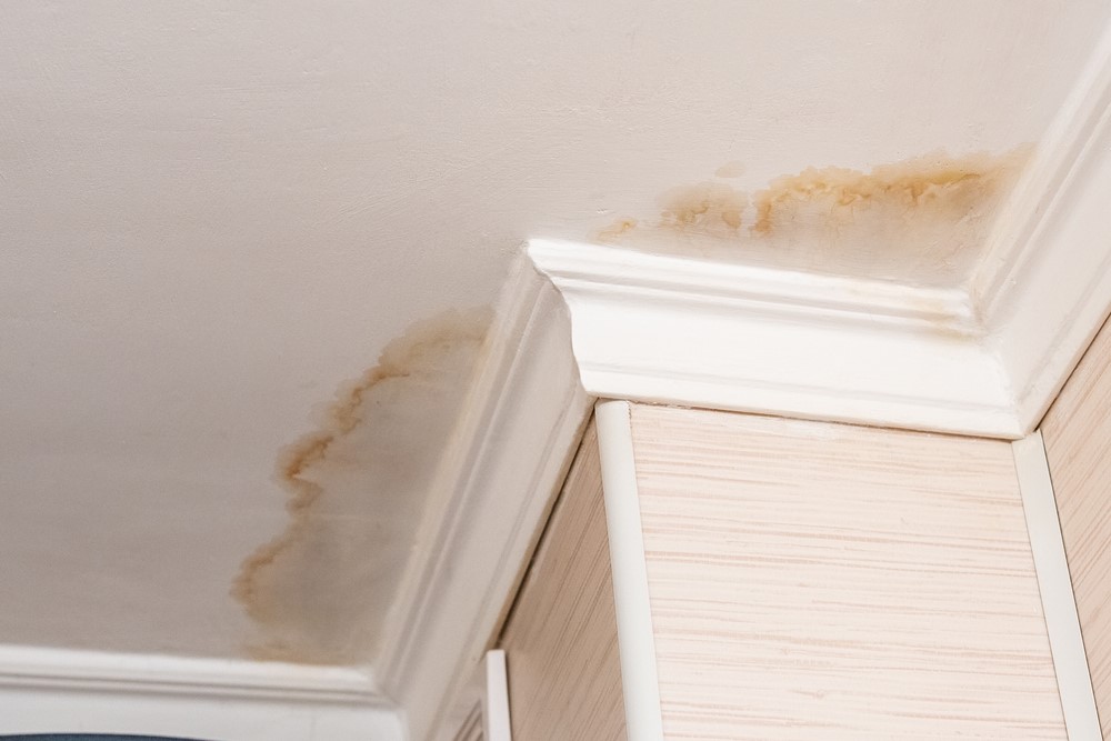 What to Do if You Have a Roof Leak in Hendersonville, TN