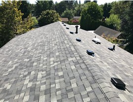 Roofing - Types Photo 2