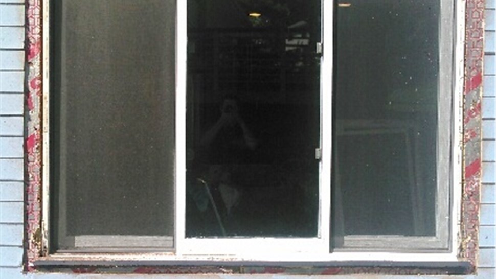 Casement Windows [On Gallery Page] Photo 119