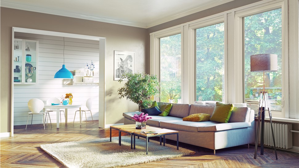 Picture Windows Photo 67