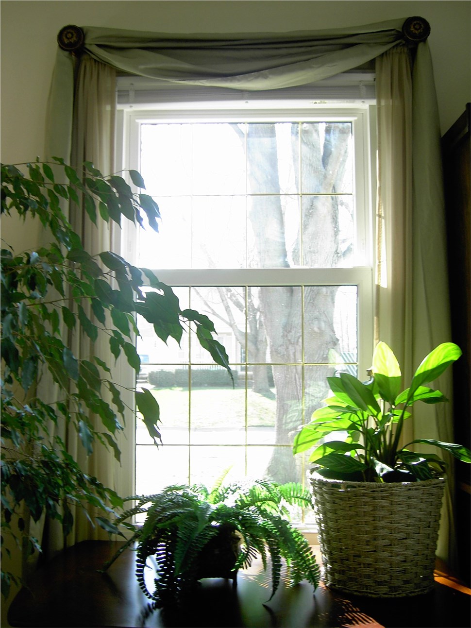 Double Hung Windows [On Gallery Page] Photo 5