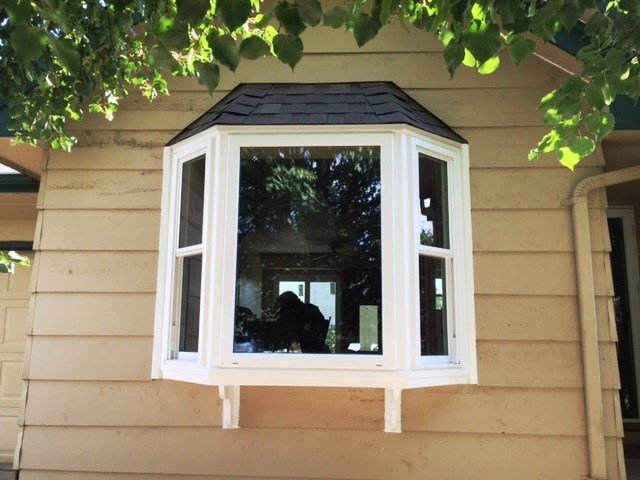 Bay Windows [On Gallery Page] Photo 41