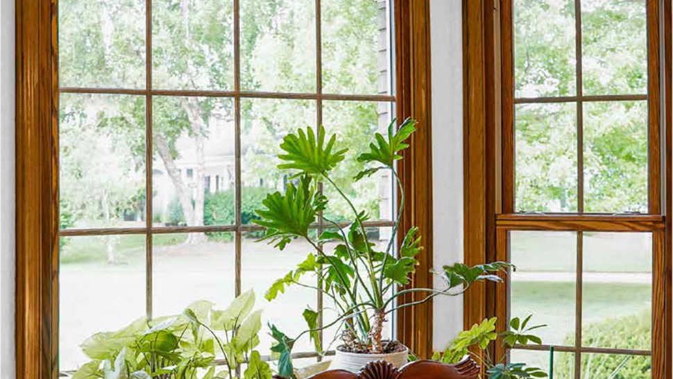 Wood-Clad Vinyl Windows Photo 1