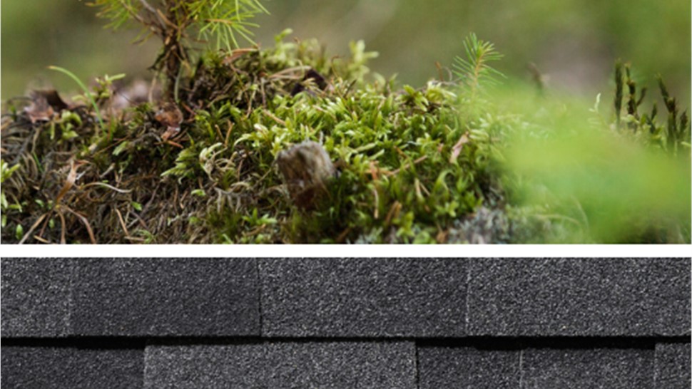 Roofing [On Gallery Page] Photo 11