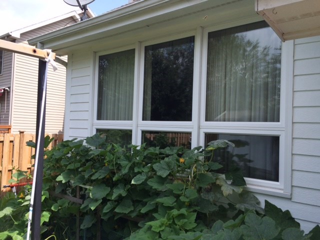 Casement Windows [On Gallery Page] Photo 49