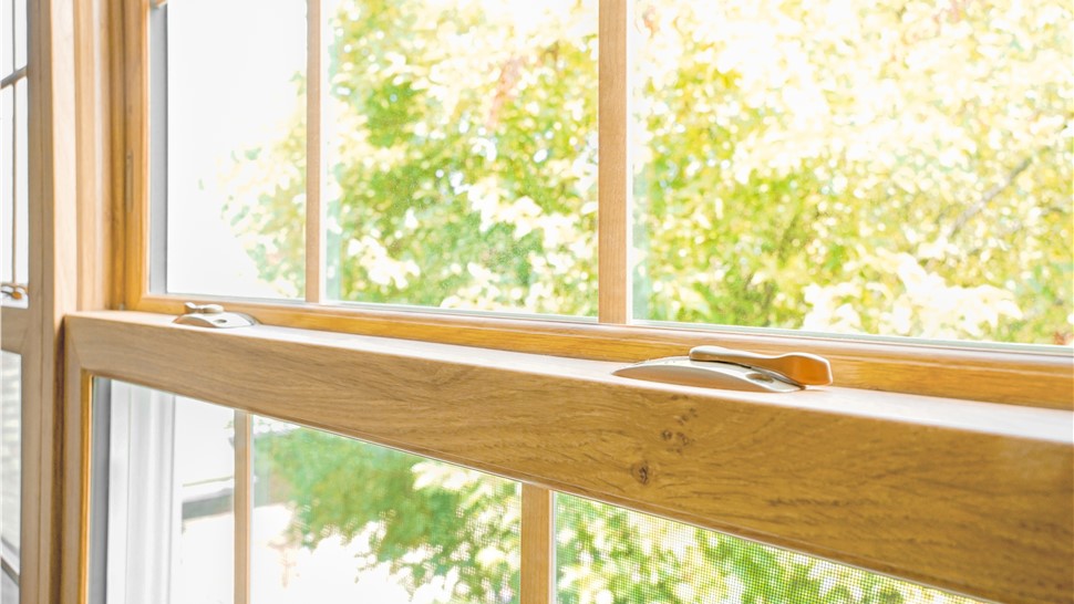 Vinyl Windows Photo 24