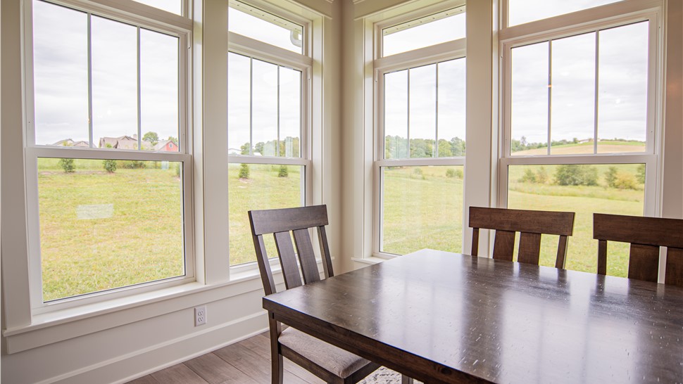Double Hung Windows Photo 11