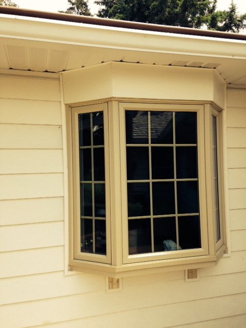 Bay Windows [On Gallery Page] Photo 29