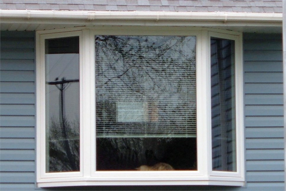 Bay Windows [On Gallery Page] Photo 31