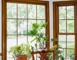 Wood-Clad Vinyl Windows Photo 3