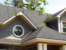 Siding/Gutter-Protection Photo 4