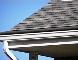 Siding/Gutter-Protection Photo 3