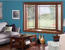 Windows/Bay Windows Photo 3