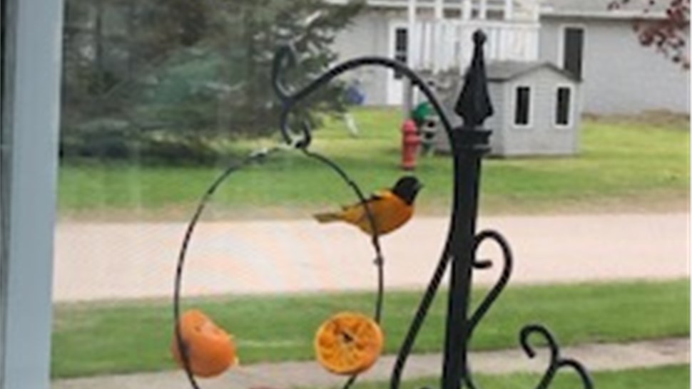 Sunrooms Project in Kanawha, IA by Midwest Construction