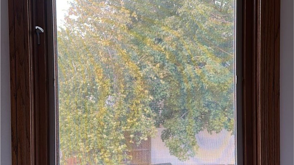 Windows Project in Ankeny, IA by Midwest Construction