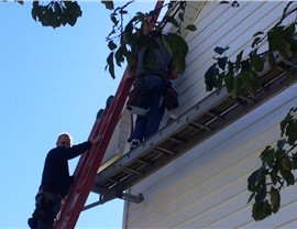 Siding Project in Ankeny, IA by Midwest Construction