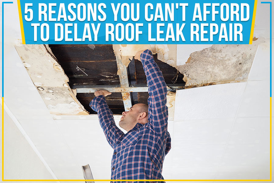 5 Reasons You Can't Afford To Delay Roof Leak Repair