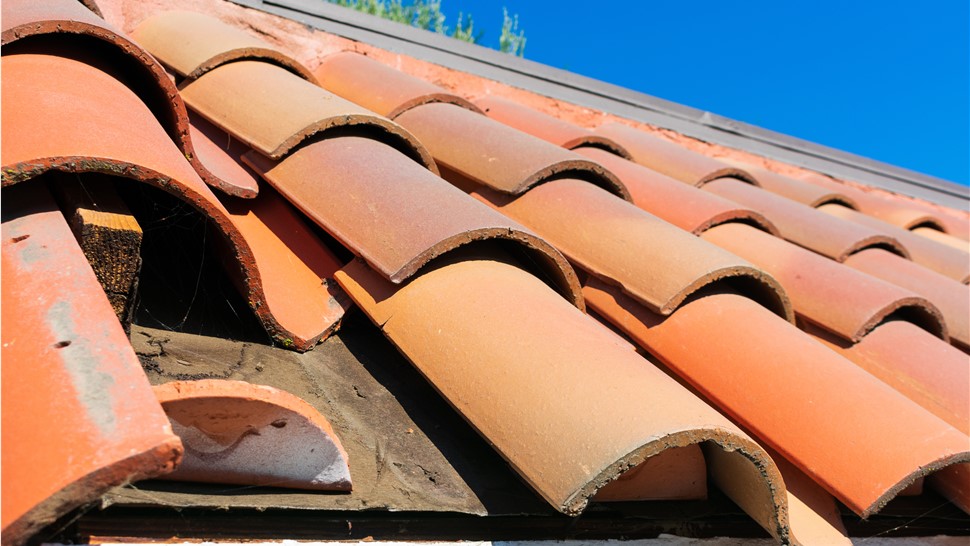 Storm Damage Photo 4