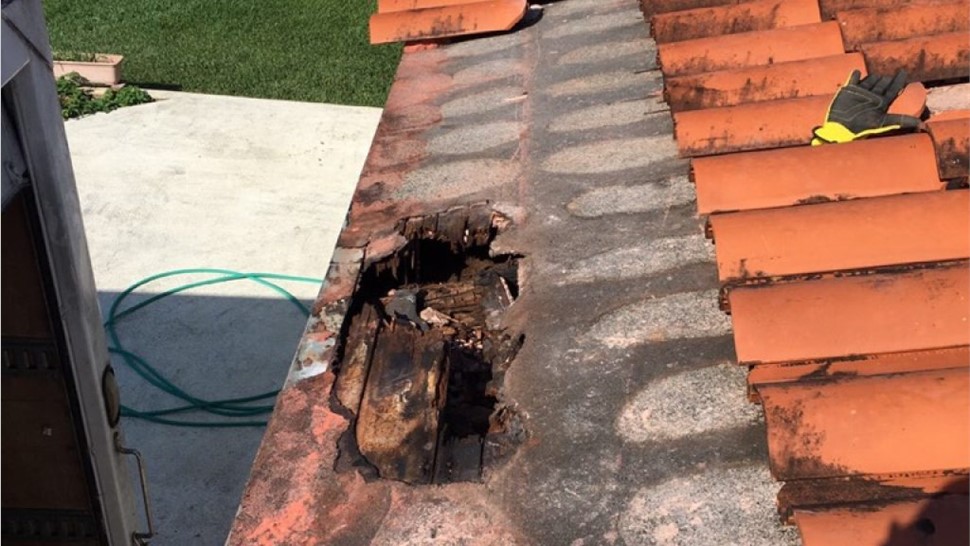 Storm Damage Photo 8