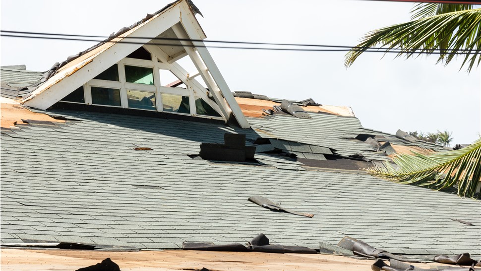 Storm Damage - Wind Damage Photo 1