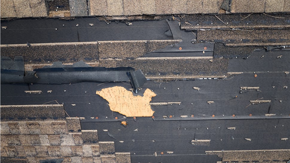 Storm Damage Photo 1