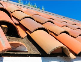 Storm Damage Photo 4